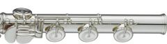 YFL-717