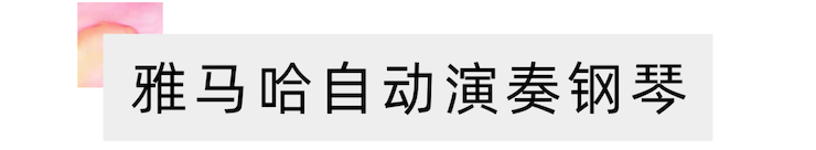 活动报道 | “科技助力，跨越时空”，小鹿纯子携手刘明康共享中日音乐盛宴